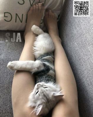 久久99热精品免费观看牛牛_超清日韩电影在线