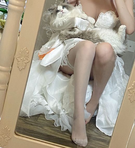 又大又爽又刺激免费视频_蓝光手机免费观看完整